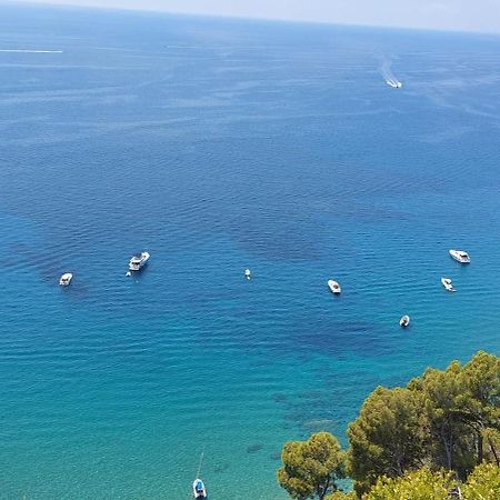 Tenuta Belvedere Cilento มอนเตกอริเช ภายนอก รูปภาพ