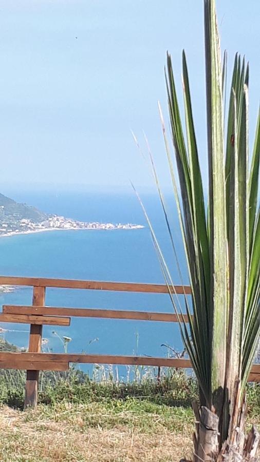 Tenuta Belvedere Cilento มอนเตกอริเช ภายนอก รูปภาพ