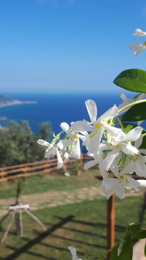 Tenuta Belvedere Cilento มอนเตกอริเช ภายนอก รูปภาพ