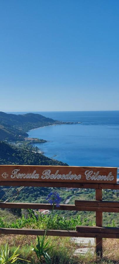 Tenuta Belvedere Cilento มอนเตกอริเช ภายนอก รูปภาพ