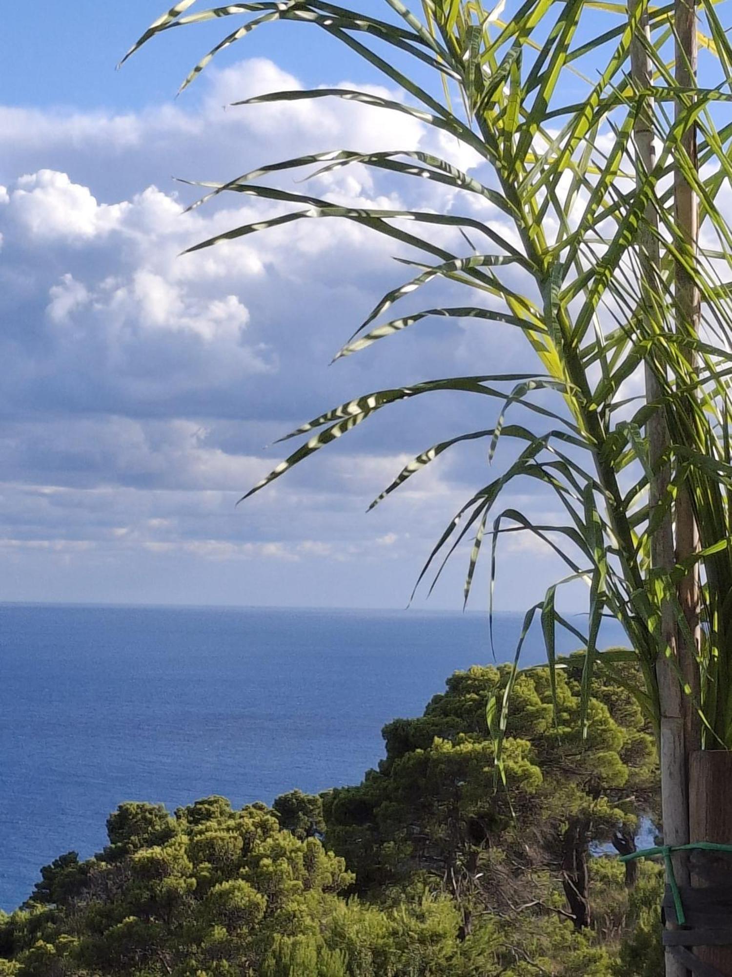 Tenuta Belvedere Cilento มอนเตกอริเช ภายนอก รูปภาพ